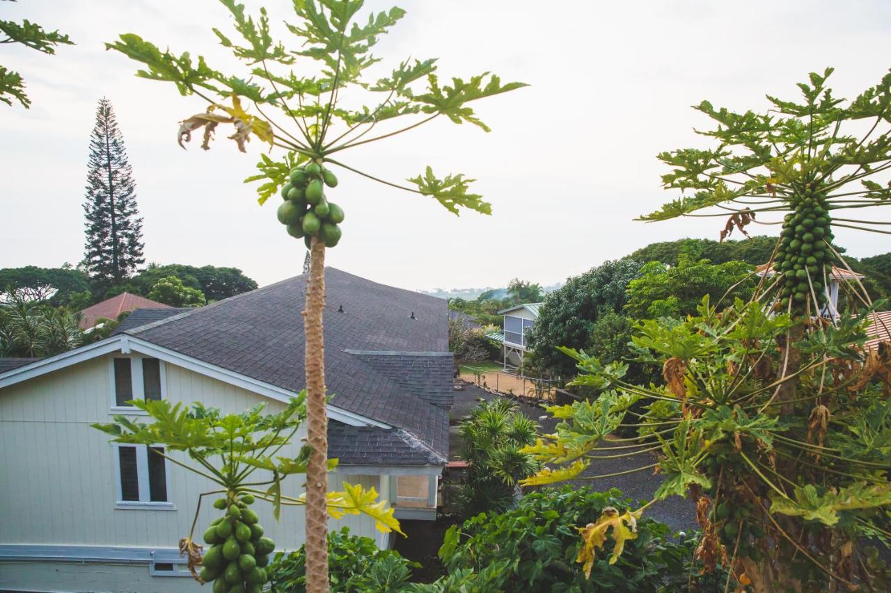 Kona Hawaii Guest House A Unique Hawaii Experience Keauhou Buitenkant foto