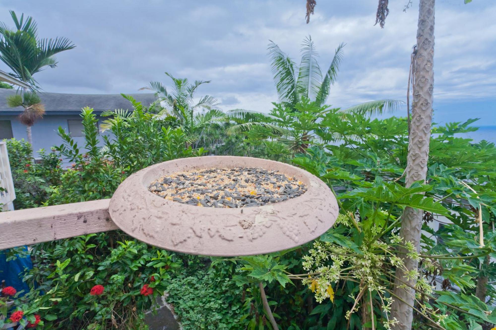 Kona Hawaii Guest House A Unique Hawaii Experience Keauhou Buitenkant foto